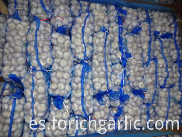 Good Quality Normal Garlic From Jinxiang